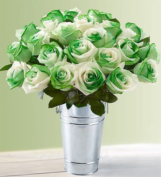 St. Patrick&#039;s Day Roses