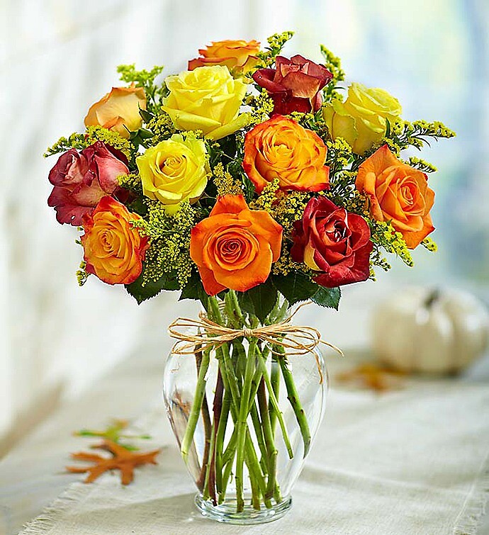 Rose Elegance Premium Long Stem Colorful Roses
