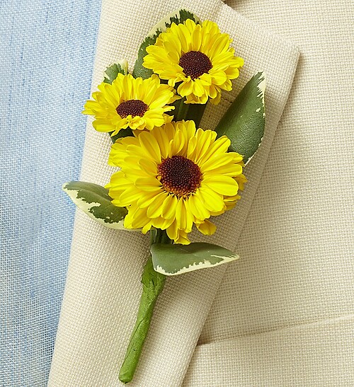 Country Charm Boutonniere