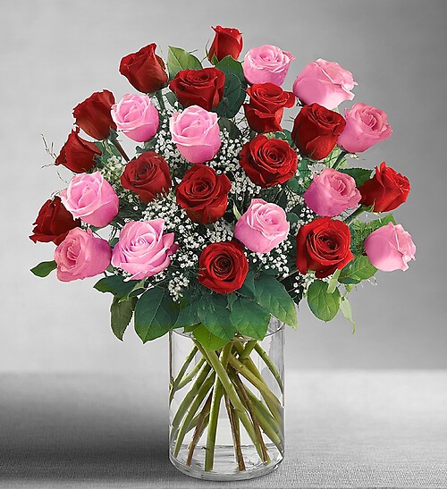 24 Elegance Long Stem Pink &amp; Red Roses