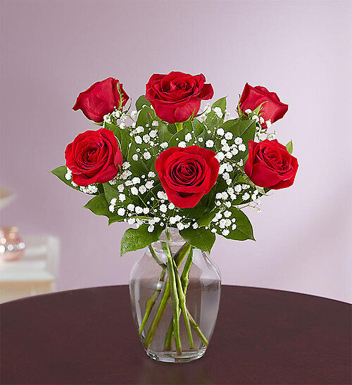 Love&#039;s Embrace Red Roses